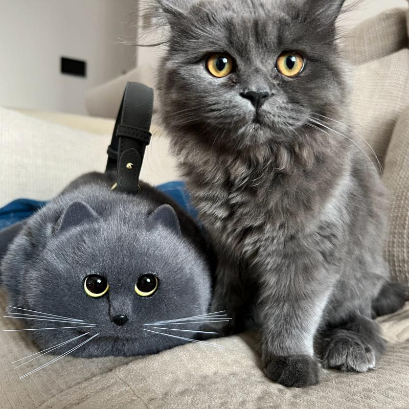 El bolso Kitty
